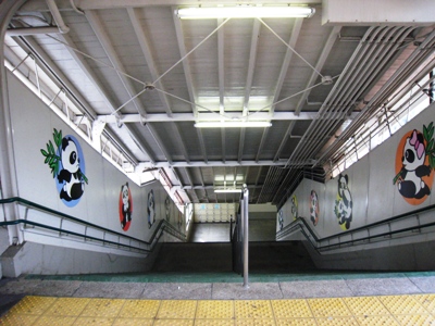 d0072521_231891.jpg