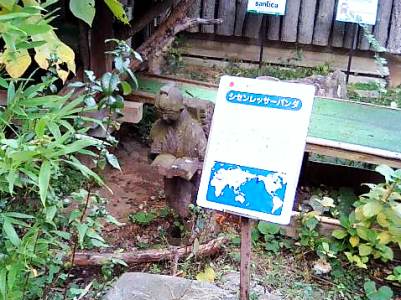 d0072521_23241649.jpg
