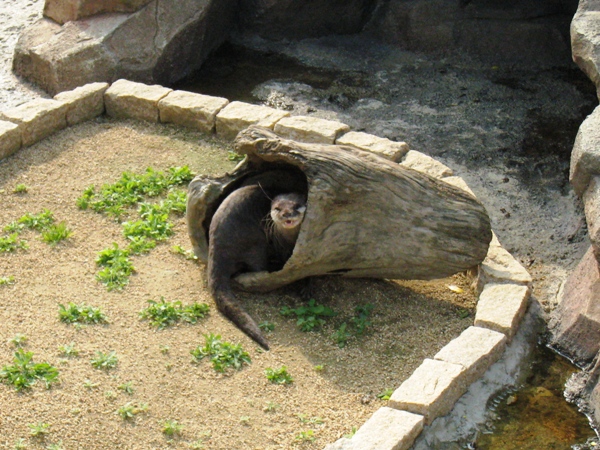 d0072521_2375486.jpg