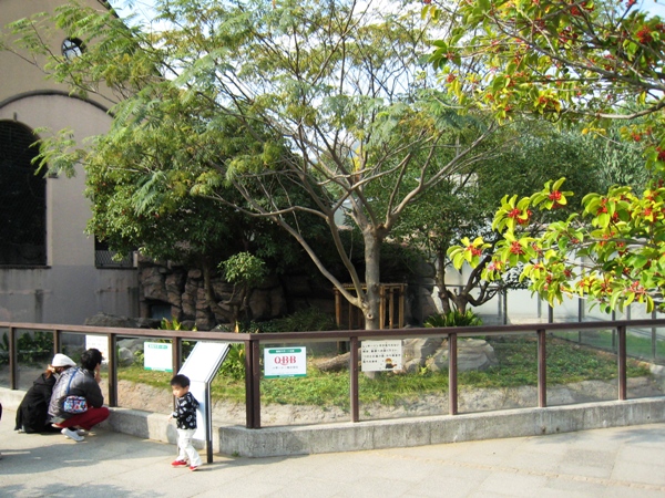 d0072521_2394834.jpg