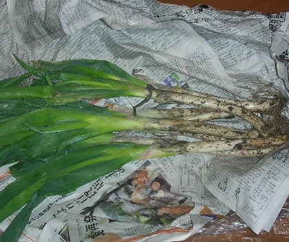 f0150629_23513391.jpg
