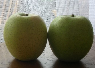 f0150629_2353011.jpg