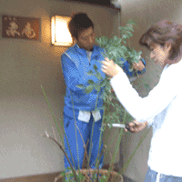 d0033734_12403047.gif