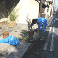 d0033734_12405855.gif