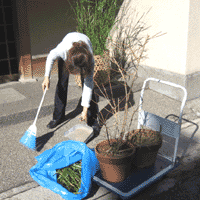 d0033734_12414418.gif