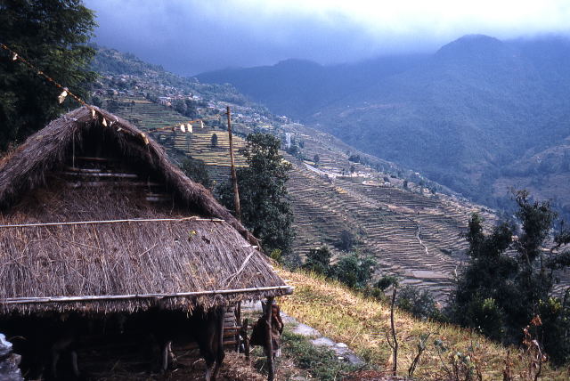 d0091834_19243290.jpg