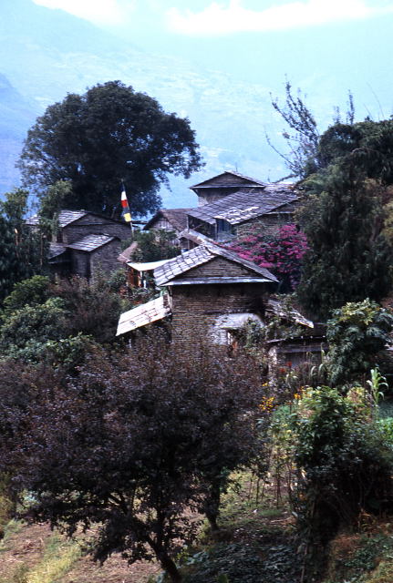 d0091834_1924432.jpg