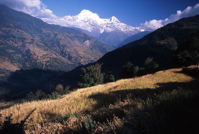 d0091834_1925124.jpg