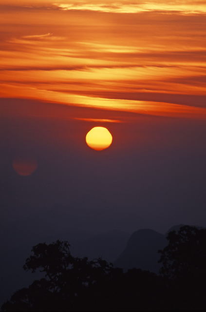d0091834_19271938.jpg