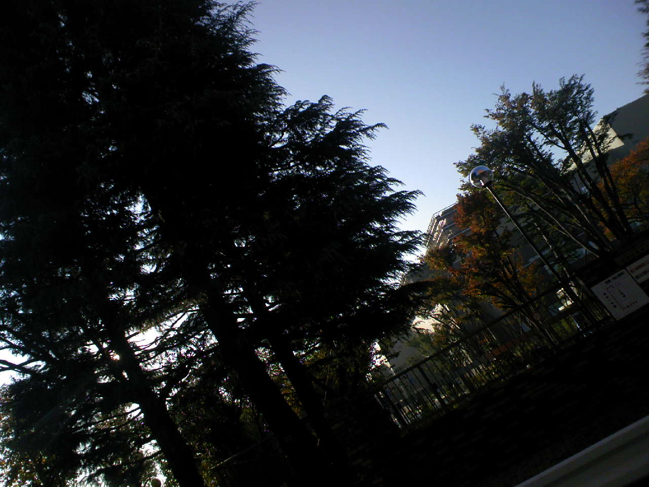 c0125637_845376.jpg