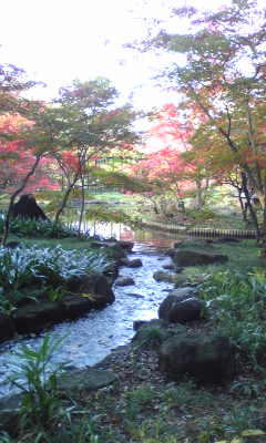 a0094140_17595420.jpg