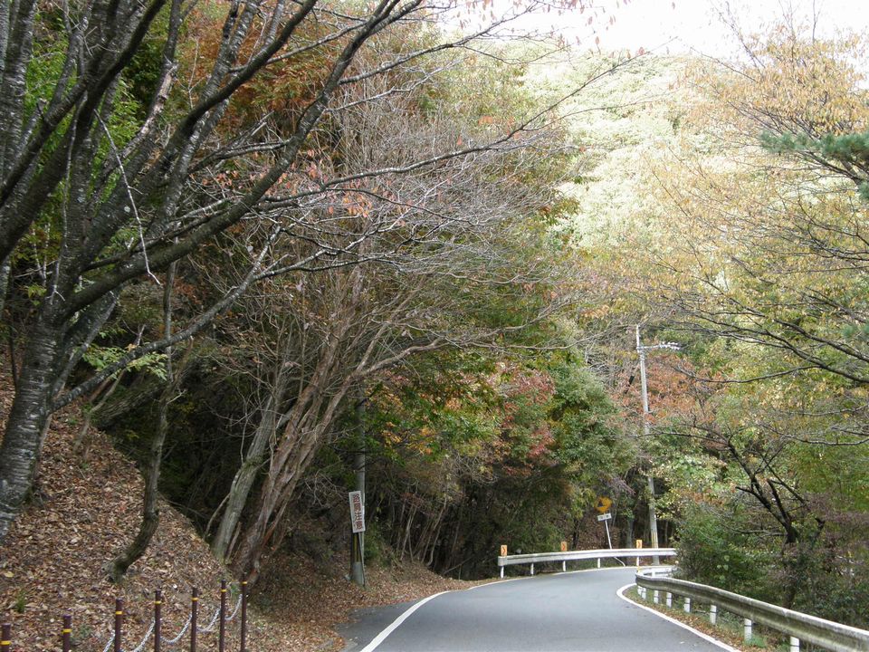 f0090444_21444148.jpg