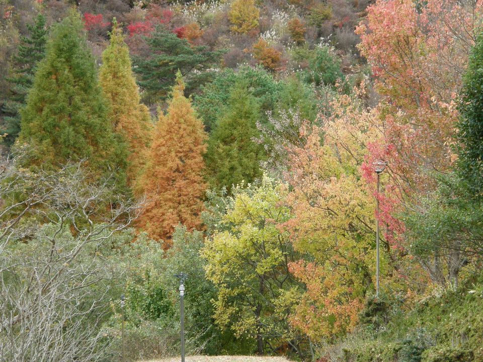 f0090444_2145568.jpg