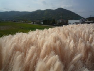 a0008549_21361962.jpg