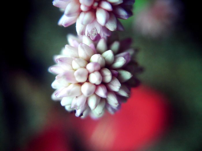 b0075849_9242445.jpg