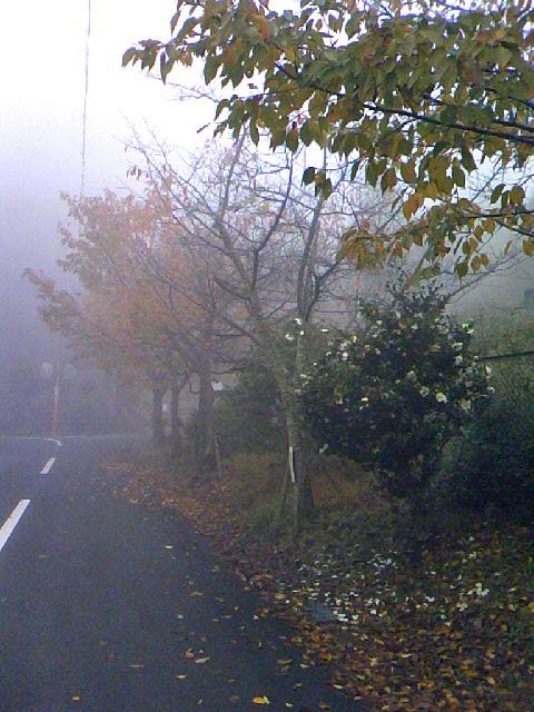 f0083649_11385727.jpg