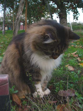 a0074650_05925.jpg