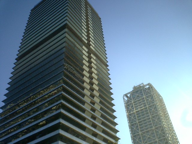 d0061952_3391930.jpg