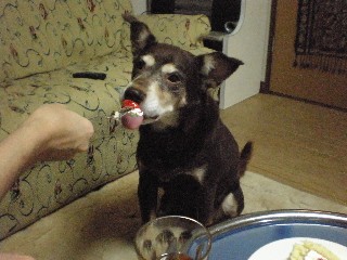 d0006253_135373.jpg