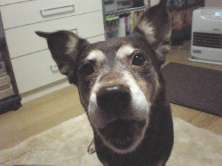 d0006253_13551427.jpg