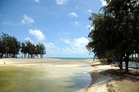 e0050753_184179.jpg