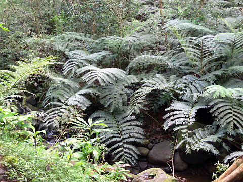 e0050753_1921373.jpg