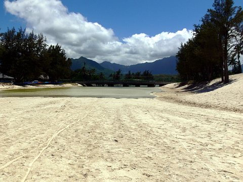 e0050753_1923865.jpg