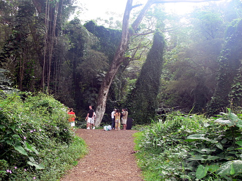 e0050753_1924950.jpg