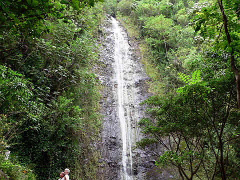e0050753_1932656.jpg