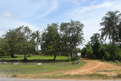 b0132755_2046452.jpg