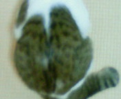 c0052756_030119.jpg