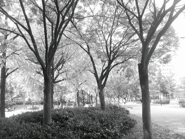 e0160657_1244938.jpg