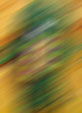 d0029958_20111015.jpg