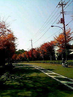 f0020662_19525182.jpg