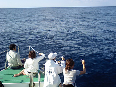 b0062363_15261887.jpg