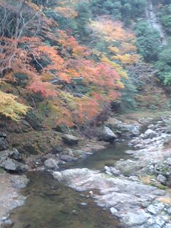 b0068965_16143319.jpg