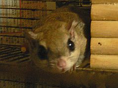 f0196665_22275042.jpg