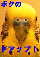 f0196665_2249169.jpg
