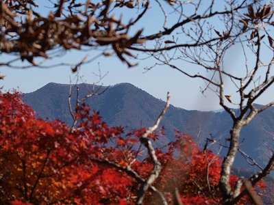 d0025568_0272951.jpg