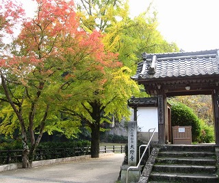 e0041168_92217.jpg