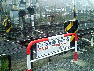 d0138580_93424.jpg