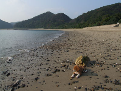 e0028387_232267.jpg