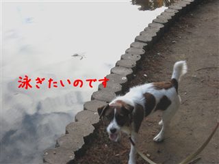 e0121589_0291691.jpg