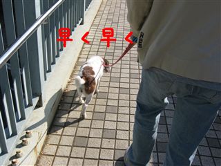 e0121589_0305941.jpg