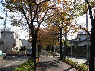 e0121589_033191.jpg
