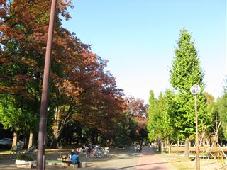 e0121589_0355772.jpg
