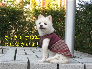 e0121589_0405013.jpg