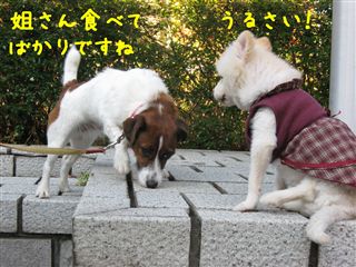 e0121589_042367.jpg