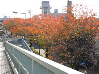 e0121589_049418.jpg