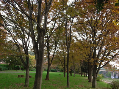 f0070493_1319752.jpg